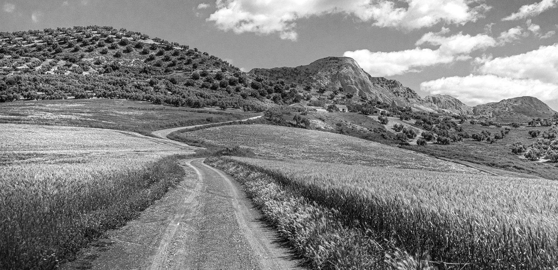 ambulante_camino