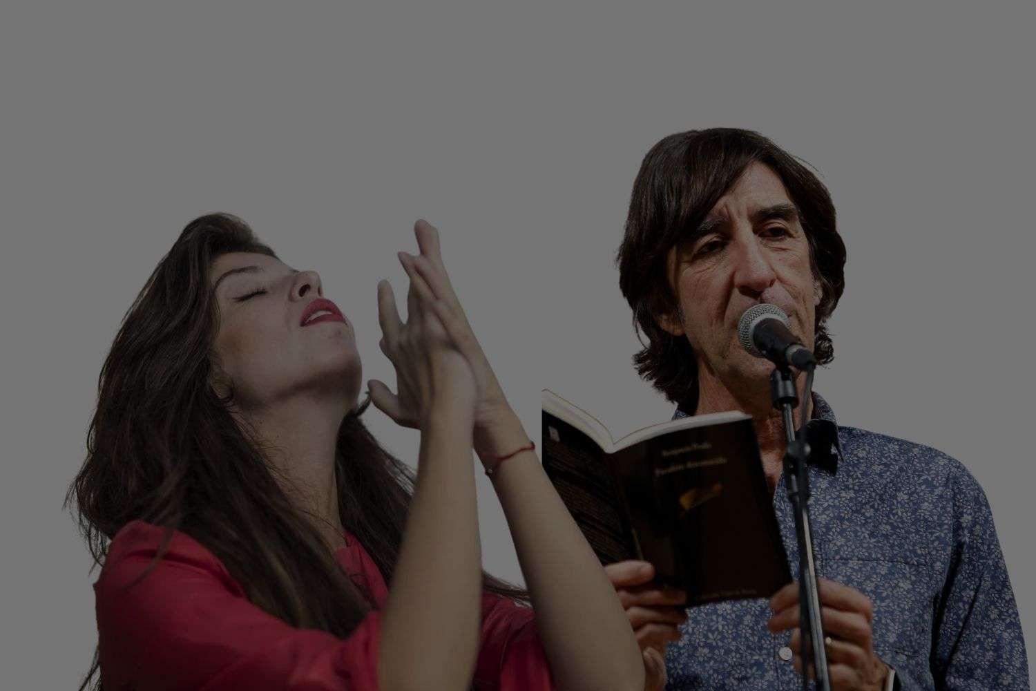 17 de noviembre encuentros poéticos